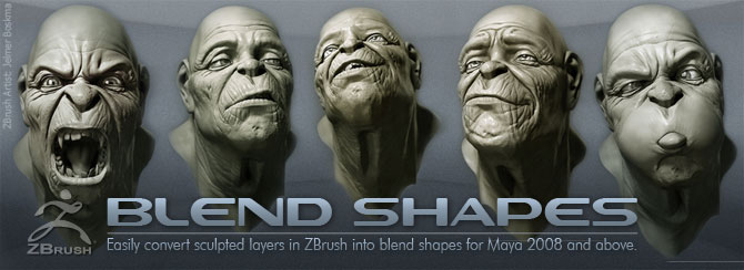 export blendshapes from zbrush